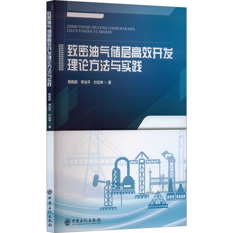 《致密油气储层高效开发理论方法与实践 》